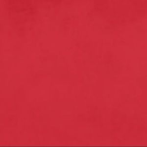 Meet your Posher, Antonio